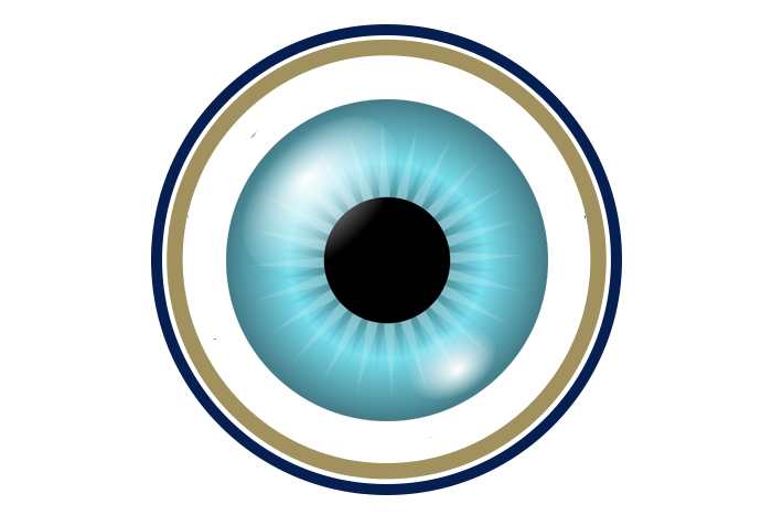 10-cornea